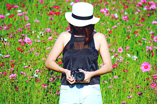 Chiangrai, Thailand - December 7, 2022: Hipster girl holding Nikon DSLR camera and standing among in cosmos flowers garden for background