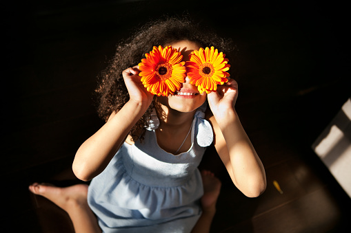 Smiling African American little girl closes eyes with colorful gerbera flowers in rays of sun on black background, indoors.