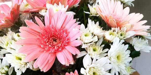 istock Beautiful pink and white bouquet flower for background 1487453619