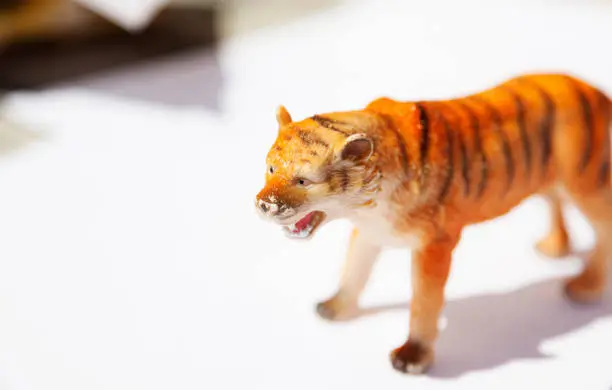 plastic toy tiger on white table