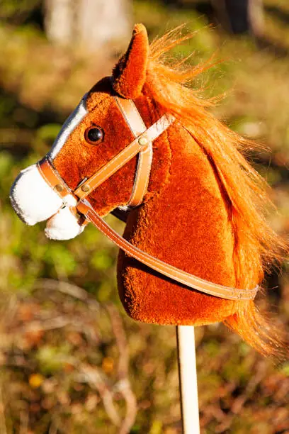 a brown stick horse to play with