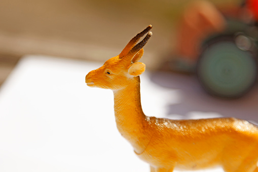 plastic toy animals with horns by the sandbox