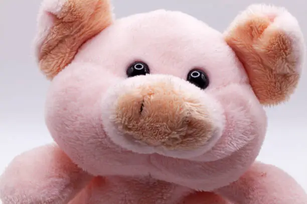 a stuffed animal depicting a young pig