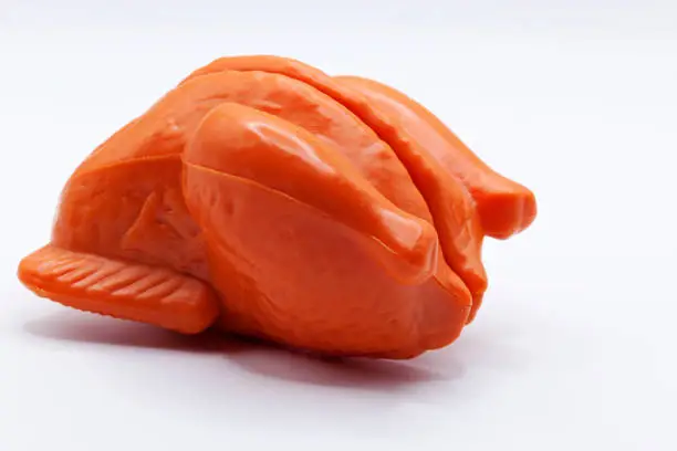 plastic toy whole chicken on white background