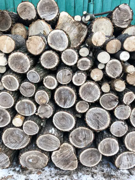Photo of The background consists of saws of thick logs stacked on top of each other in the form of a woodpile. Annual rings are visible on the cross-section of the trunks.