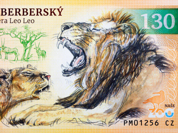 istock African Lion a portrait from money 1487454562