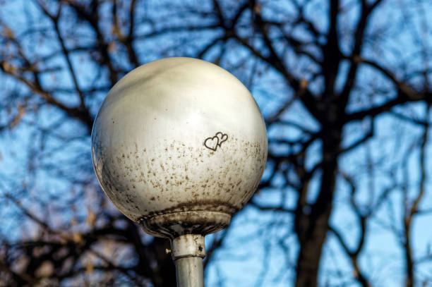 Street lamp in the park on a sunny evening, Moscow