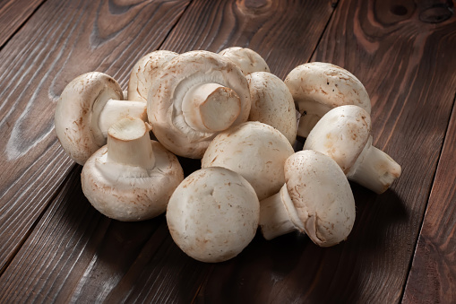Whole small fresh white champignon mushrooms in blue bowl