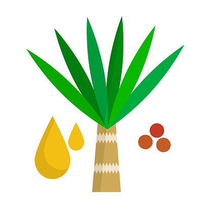 Palm oil and Elaeis and palm oil seed icons. Editable vector.