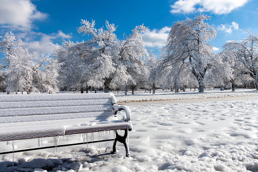 View of ice-covered park bench and frosted white trees at Prospect Point, Niagara Falls State Park, NY, USA as a result of the water spray coming from the falls against a white clouded blue sky