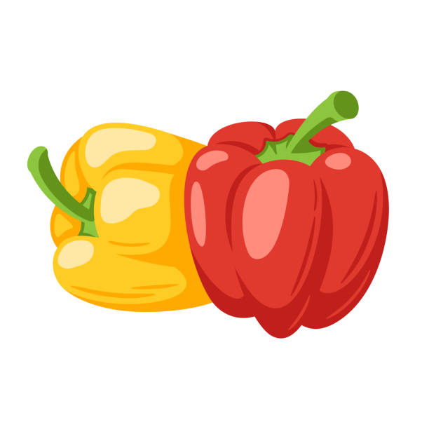 ilustrações, clipart, desenhos animados e ícones de pimentões vermelhos e amarelos doces - green bell pepper illustrations