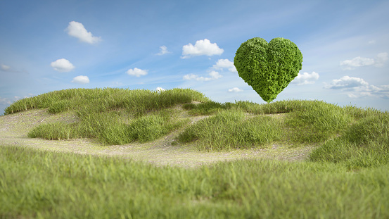 Fresh green moss in heart shape hover above grass field as valentine concept for love nature