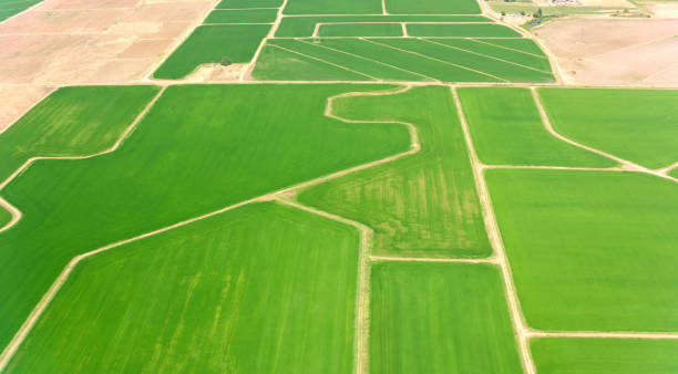 Free picture: Floodplain agricultural flat field