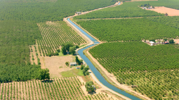 istock View of agricultural field 1487473495