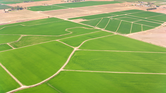 Aerial view of green agricultural farm during sunny day, Sacramento, California, USA.