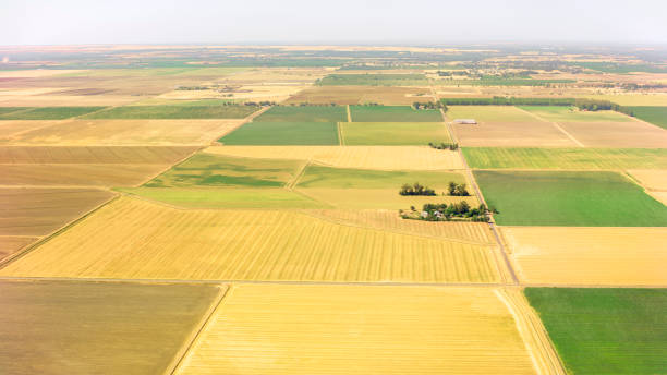 istock View of agricultural field 1487473513