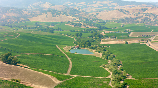 Aerial view of agricultural farmland during sunny day, Napa Valley, Napa County, California, USA.