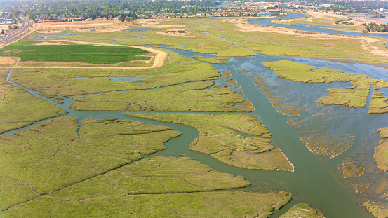 Aerial view of marshland during sunny day, Napa Valley, Napa County, California, USA.