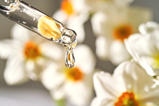 An eyedropper with a cosmetic product on the background of daffodils.