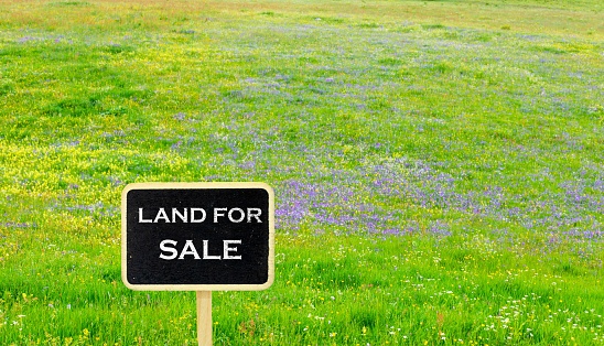 A 'Sale' sign standing on a grassy field with flowers.