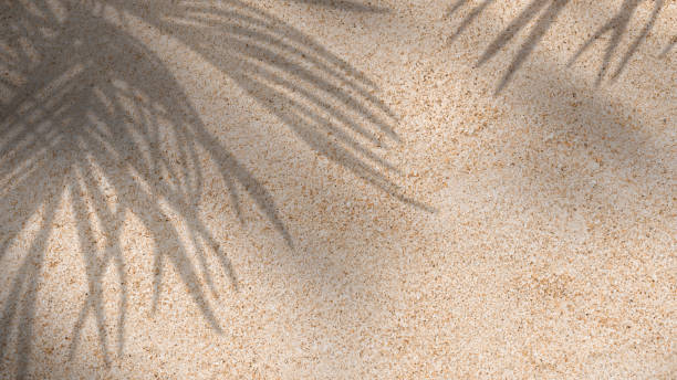 istock Sand Texture Background with Coconut Palm leaves Shadow, Nature Beach Sandy with tropical leaf overlay,Top view Desert sand done,Horizontal Summer vacation, holiday background concept 1487481892