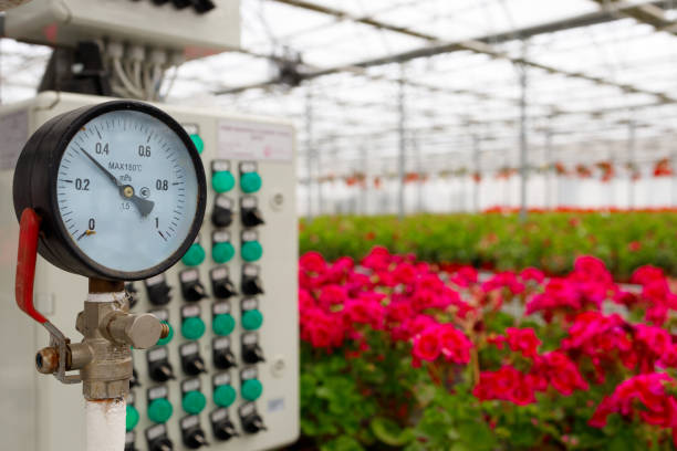 Amsterdam tulip greenhouse in the Netherlands