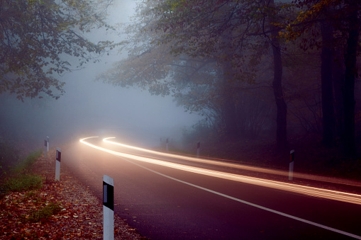 Trace of car light on a road through the forest on a foggy day. Nature, road, trip