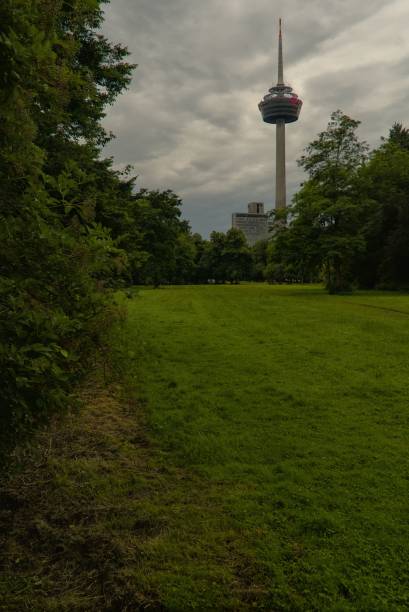 istock a view of the observation tower, located behind the trees 1487485327