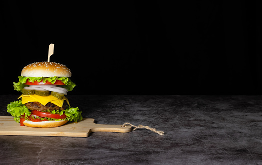 Fresh tasty burger on dark background. Copy space for text.
