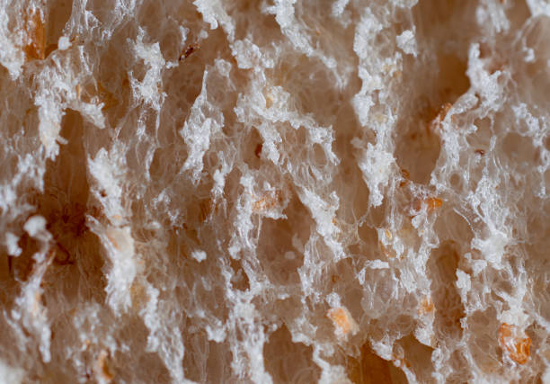 Macro or Close up bread. Lines, tissue or bread texture. Close up view of bread texture.