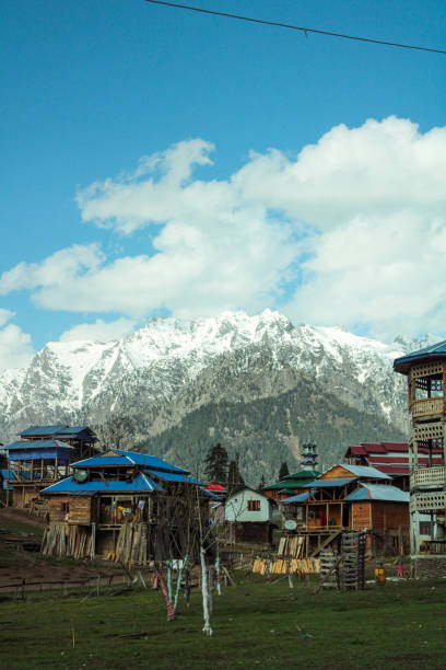 istock Huts of Arang Kel, Kashmir 1487491849