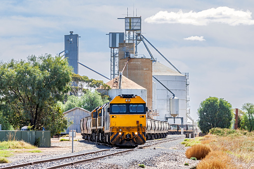 Grain train with three diesel locomotives loading at large rural silo complex in rural Victoria.  Loading is almost complete - dust can be seen coming from chute towards the rear of the train. ID & logos edited.