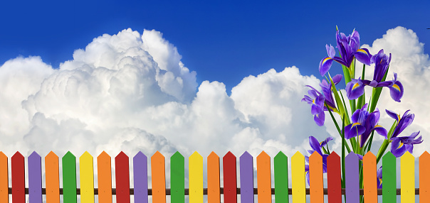 Image of a rustic fence and beautiful flowers behind the fence against the backdrop of a huge white cloud and blue sky