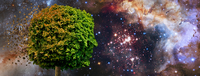 Image of tree in the form of a human head against the background of a cosmic landscape, moreover, the leaves of this tree come off and fly away from the tree-head depicting amnesia