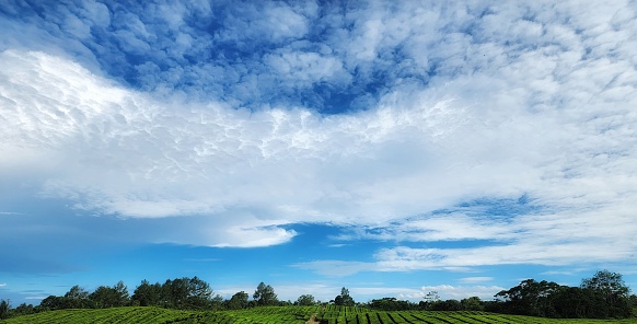 the beauty of the sky in the morning, above the Sidamanik tea garden, North Sumatra