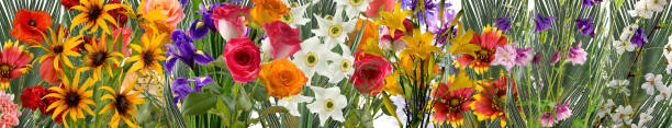 istock image of beautiful bright festive flowers on a green blurred background 1487493636