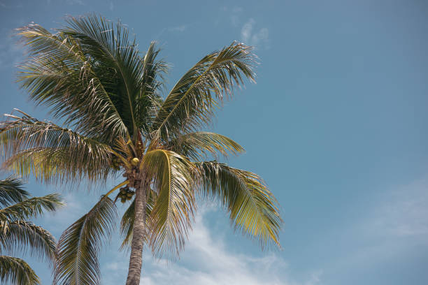 istock Travel lifestyle 1487493795