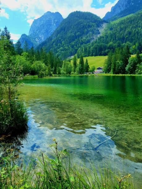 istock lake Hintersee 1487495273