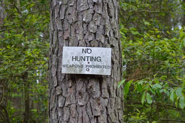 istock Silly Sign for Hunters 1487495743