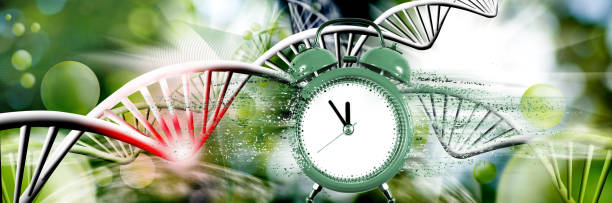 istock image of a collapsing clock, from which particles are torn off against the background of stylized DNA chains, part of the chain is highlighted in red as painful 1487495962