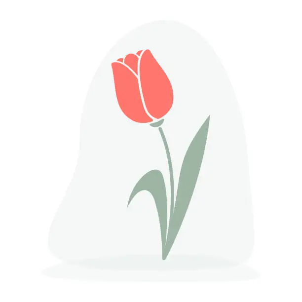 Vector illustration of Clip art of hand drawn tulip on isolated background.