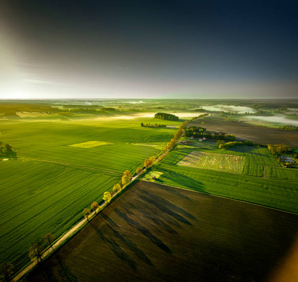 istock Warmia and Mazury - in the morning 1487498004