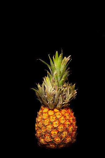 Exotic juicy tropical fruit of pineapple ready to eat over black background