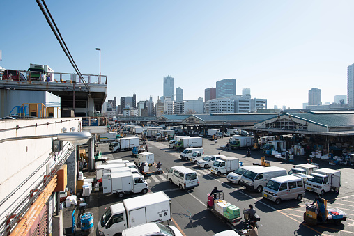 tokyo , japan - march 27, 2015 : workers and cars at the morning in tsukiji fish market in tokyo.