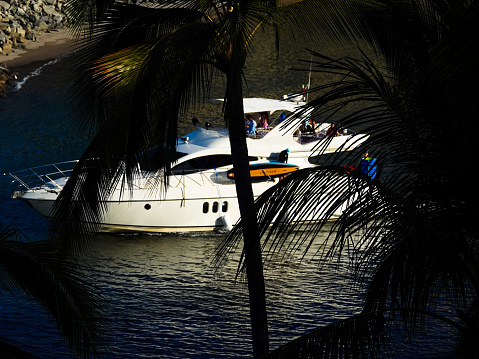 Nuevo Vallarta, Nayarit, Mexico-April 13, 2023: Pleasure boats in a marina seen from above through palm leaves. Nuevo Vallarta, Mexico.