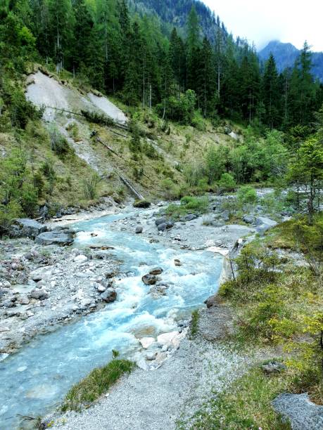 istock wild clear river in Bavarian Alps 1487509046