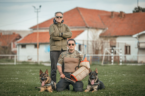 Soldiers from the K-9 unit demonstrations to attack the enemy, the green lawns. Learn the human language. Dogs can follow orders well. German shepherd do stand.