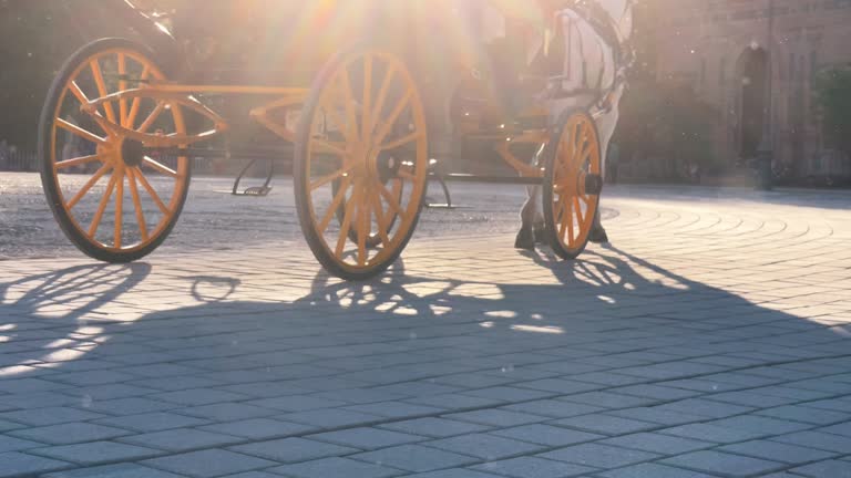 Horses' legs and coach's wheels horses riding with tourists by the Plaza de Espana paving in the evening sunset light beams, Sevilla, Andalusia, Spain.