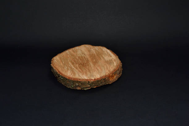 istock Growth ring of tree with black background 1487514844