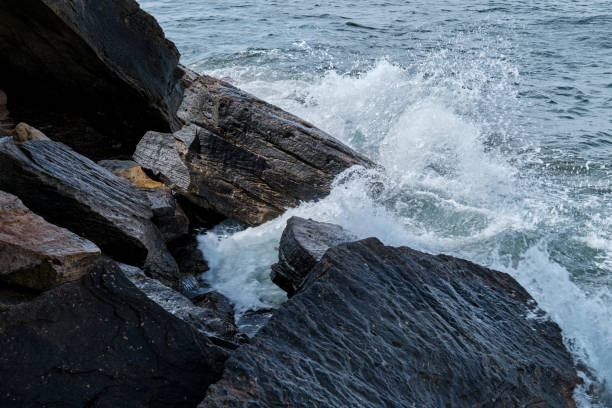 istock Shapes of the Sea 1487517535